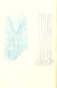 n205_w1150
