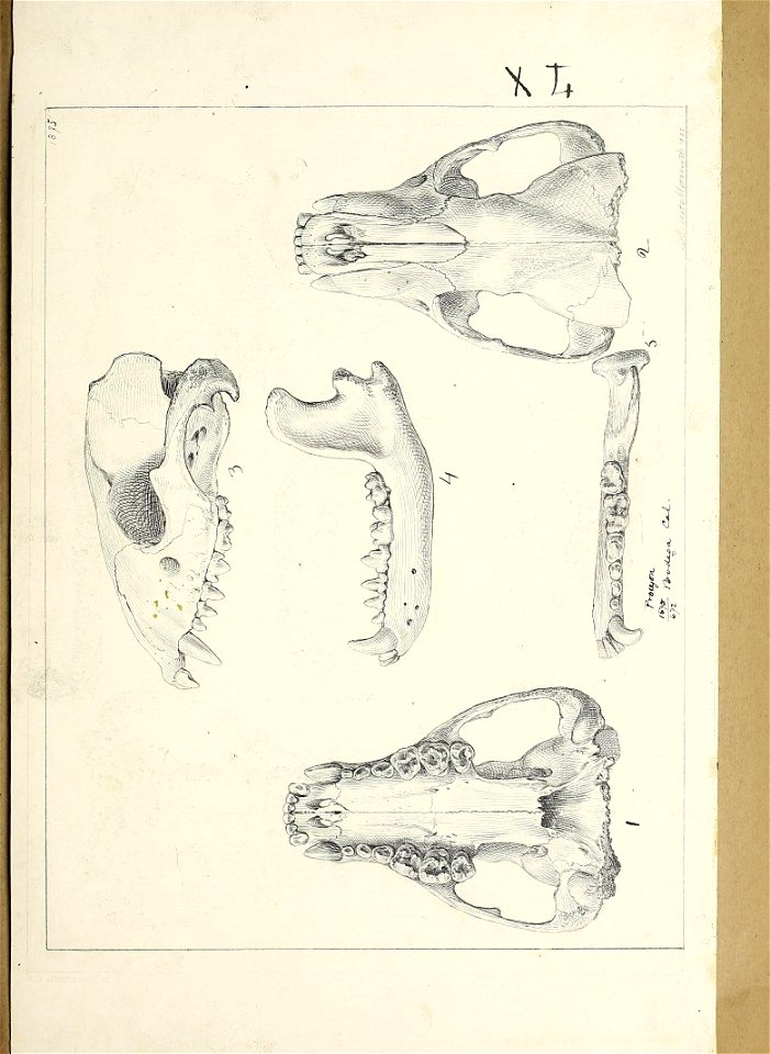 n254_w1150