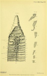 n232_w1150