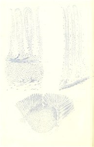 n203_w1150