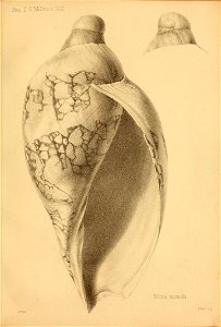 n106_w1150