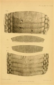 n678_w1150