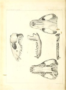 n253_w1150