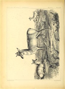 n131_w1150