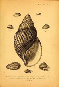 n102_w1150
