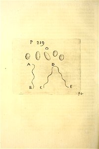 n263_w1150
