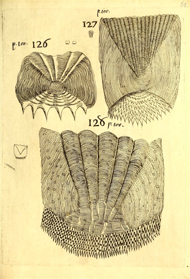 n622_w1150