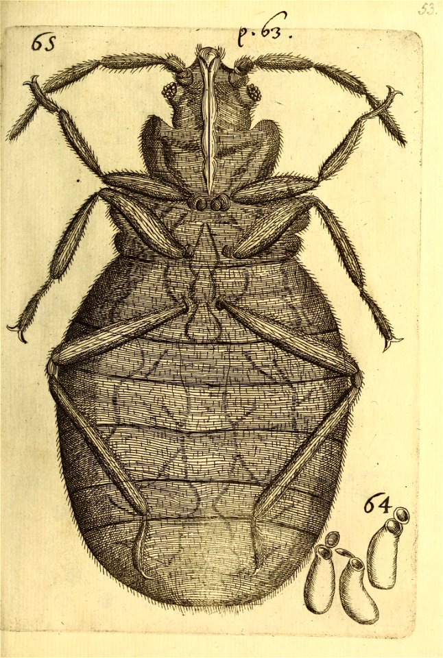 n592_w1150