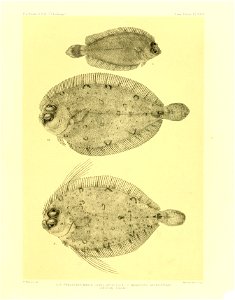 n142_w1150
