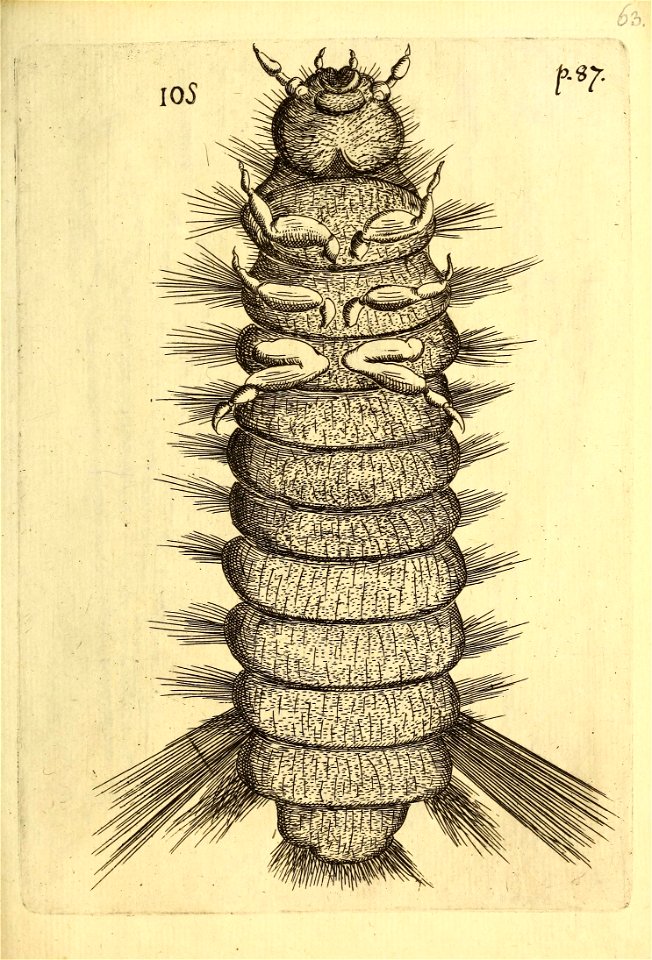n612_w1150