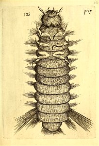 n612_w1150