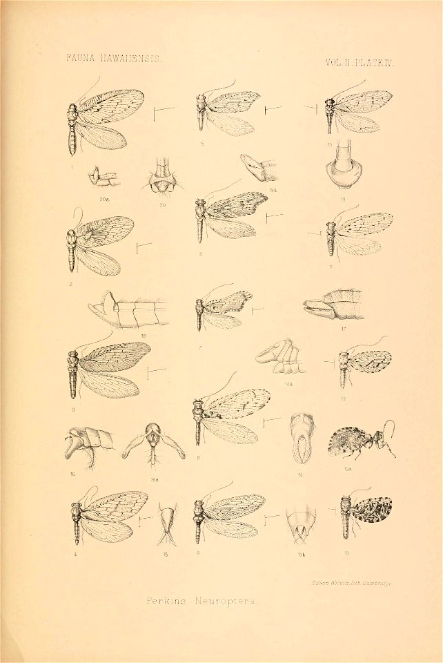 n832_w1150