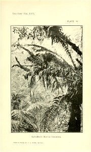 n80_w1150