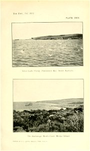 n126_w1150