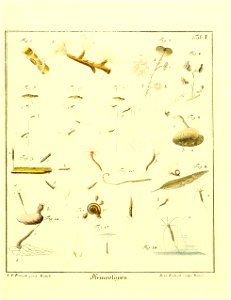 n462_w1150