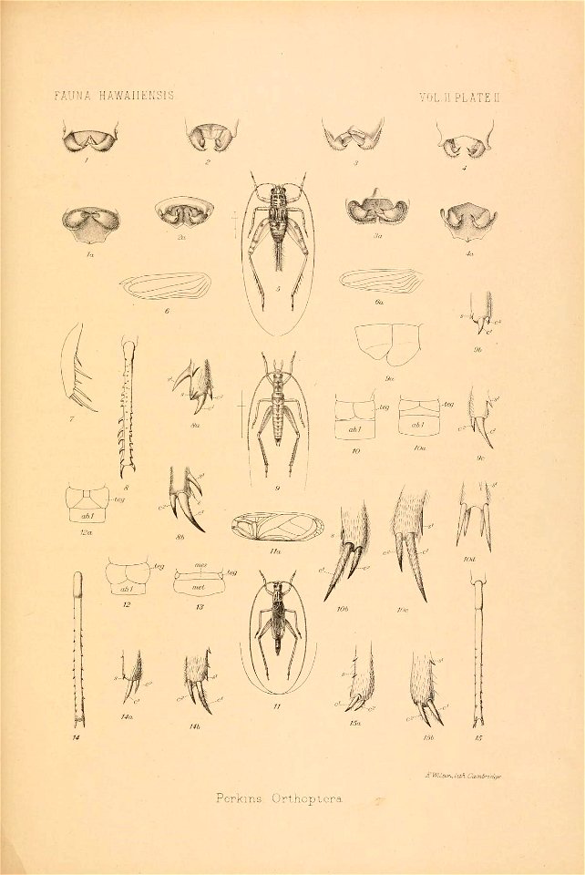 n822_w1150