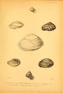 n104_w1150