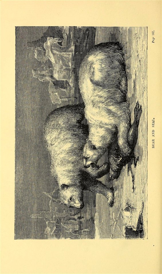 n191_w1150