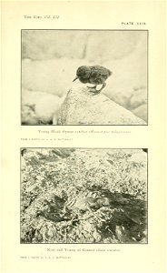 n222_w1150