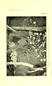 n98_w1150