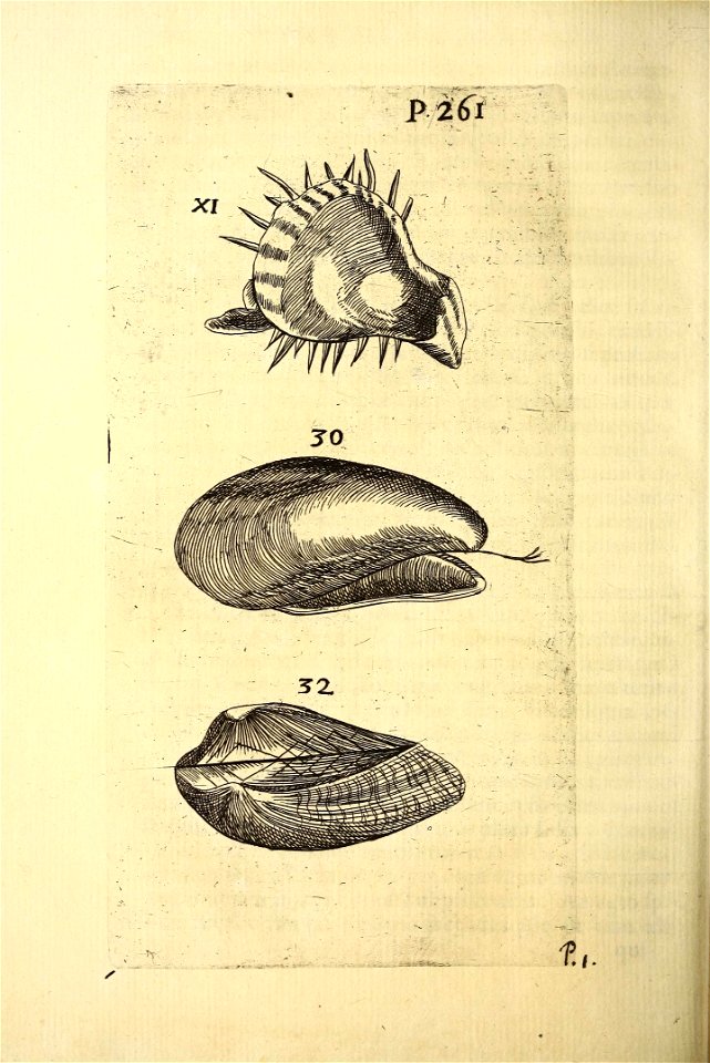 n309_w1150