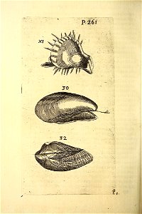 n309_w1150