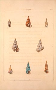 n123_w1150