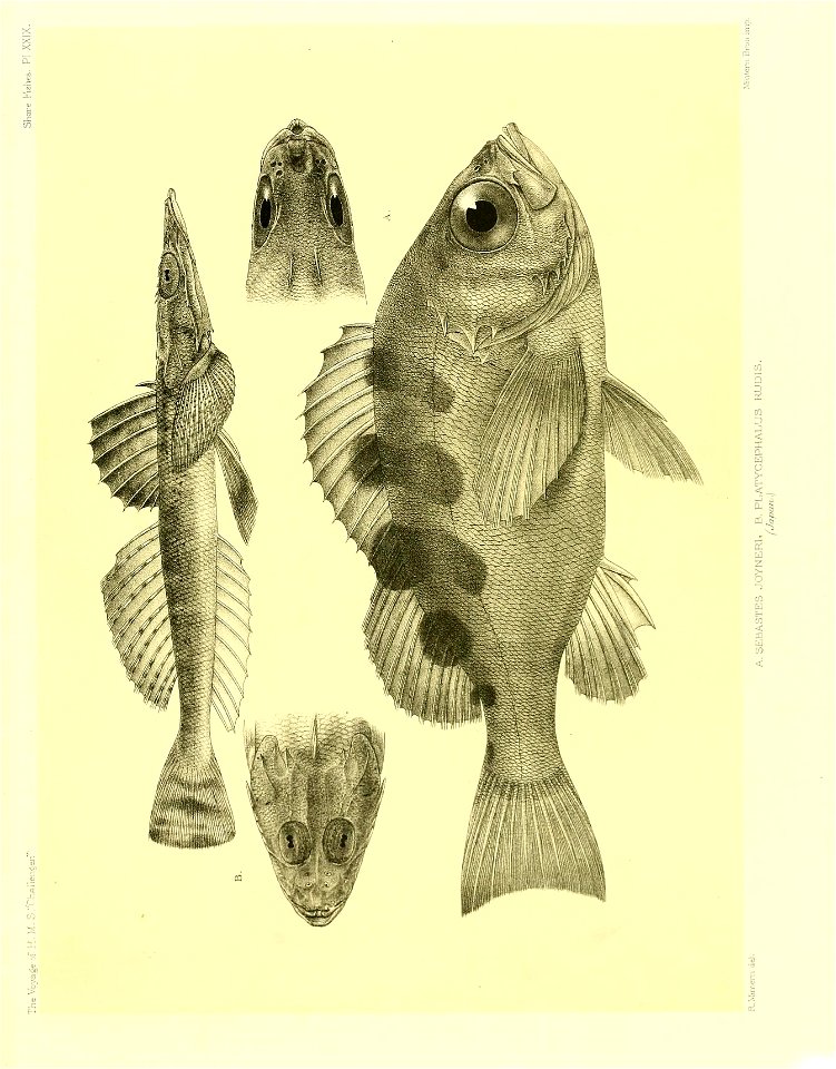n156_w1150