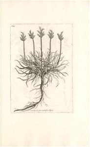 n574_w1150
