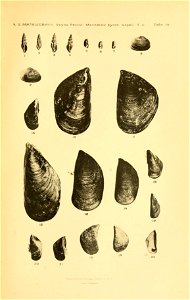 n338_w1150