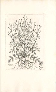 n572_w1150