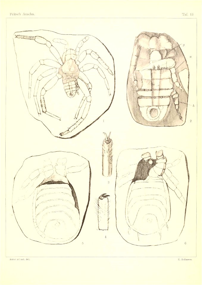n140_w1150