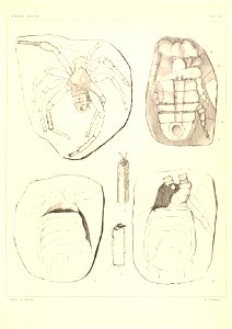n140_w1150