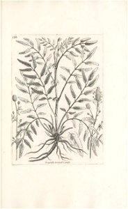 n570_w1150