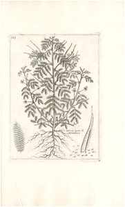 n540_w1150