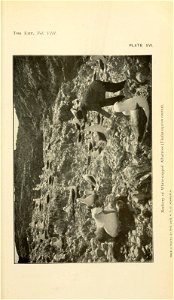 n258_w1150