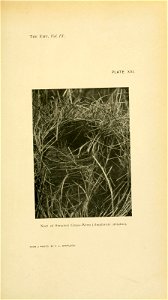 n270_w1150