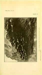 n120_w1150