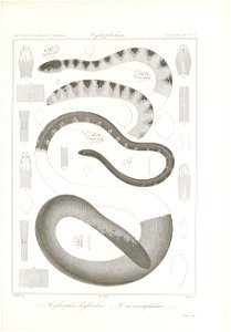 n118_w1150