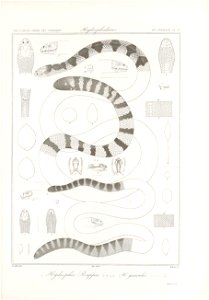 n116_w1150