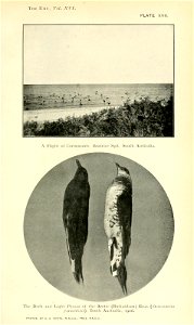 n122_w1150