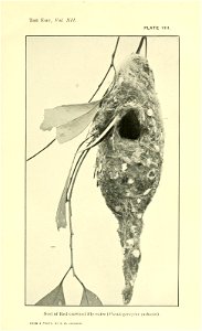 n112_w1150