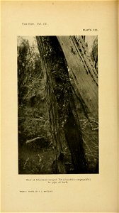 n261_w1150