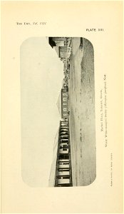 n196_w1150