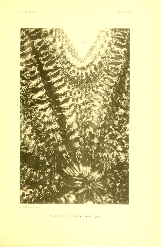 n376_w1150