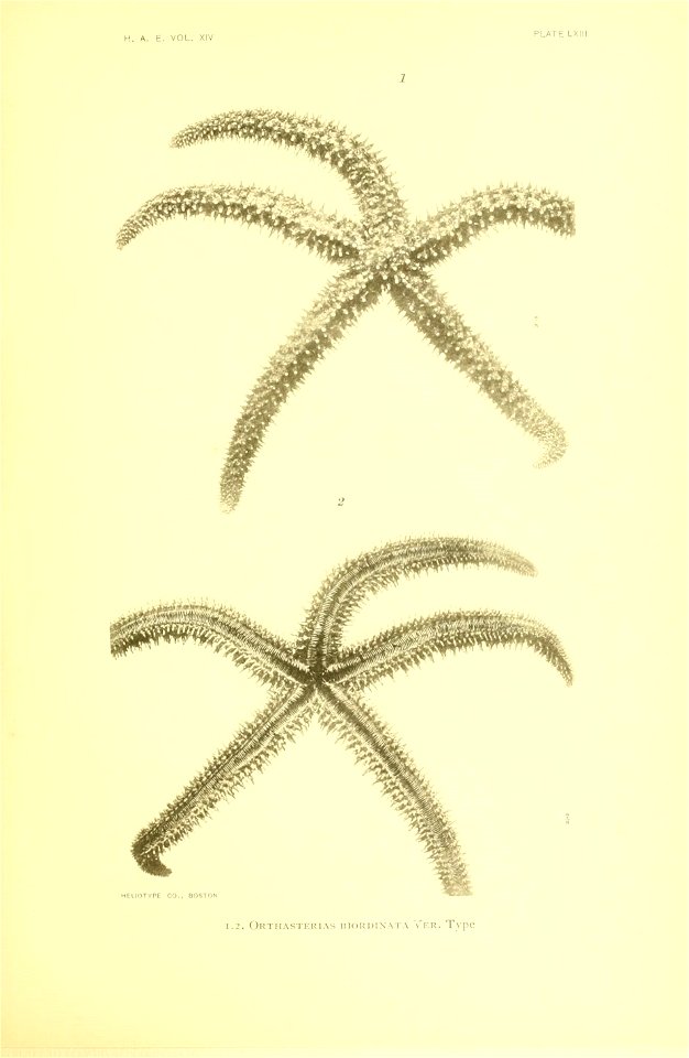 n256_w1150