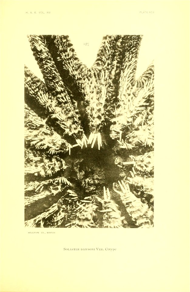 n372_w1150