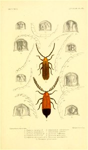 n112_w1150