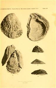 n352_w1150
