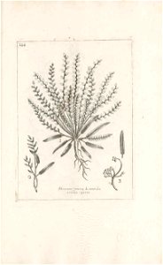 n582_w1150